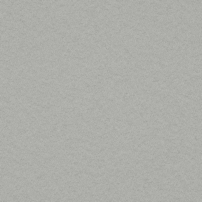 Fundamentals - Light Grey - 4001 - 06 - Half Yard