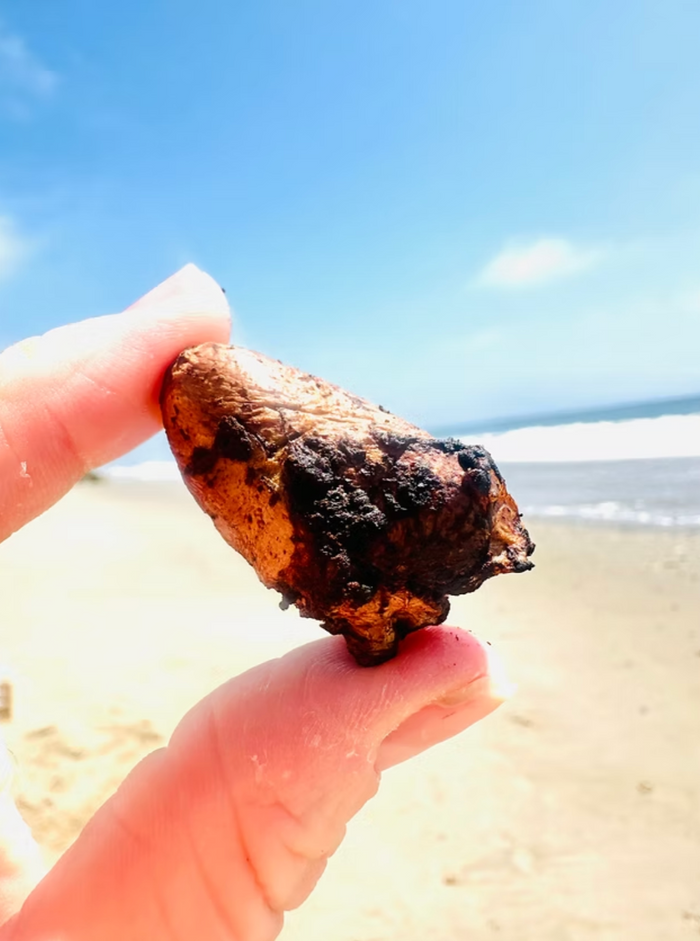 Organs & Shrooms Freeze-Dried Dog Treats