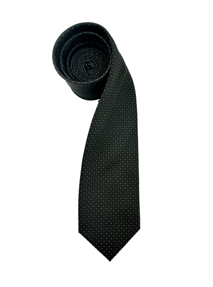Tribeca Charcoal Dotted Tie