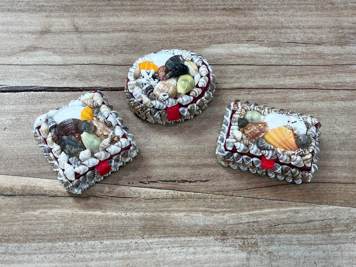 Box - Assorted Shells