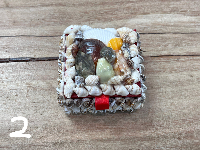 Box - Assorted Shells