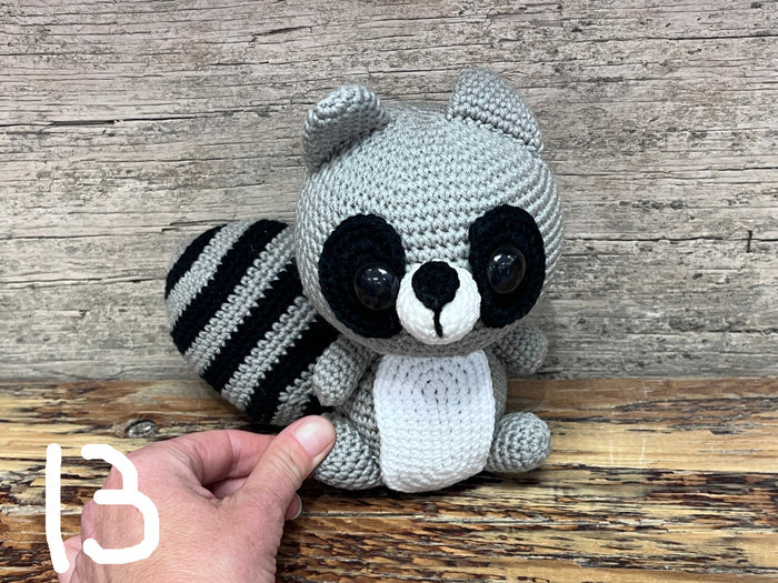 13 - Raccoon