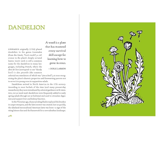 The Heirloom Gardener